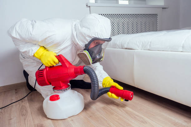 Best Flea Control Services  in Moorestown Lenola, NJ